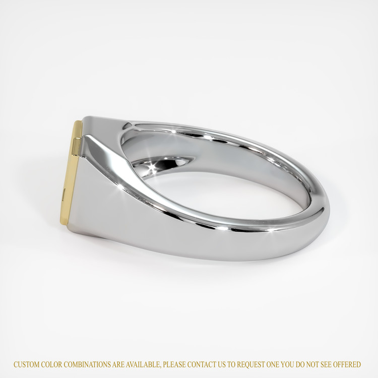 14K Yellow & White Men's Ring Setting