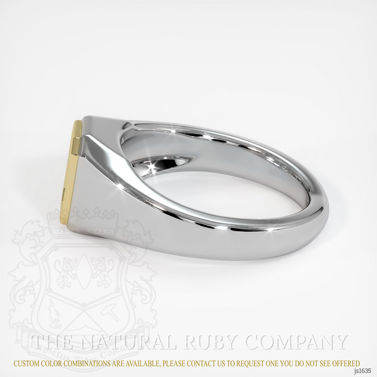 14K Yellow & White Men's Ring Setting