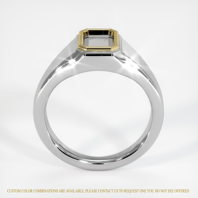 14K Yellow & White Men's Ring Setting