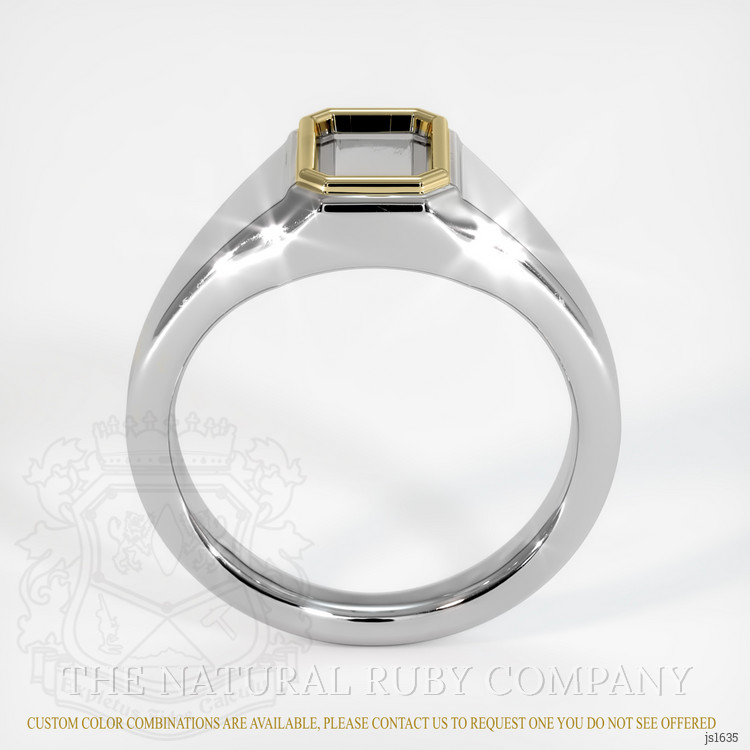 14K Yellow & White Men's Ring Setting