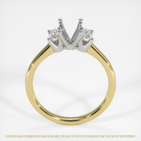 14K White & Yellow Three Stone Ring Setting Image