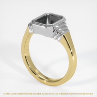 14K White & Yellow Men's Ring Setting Image