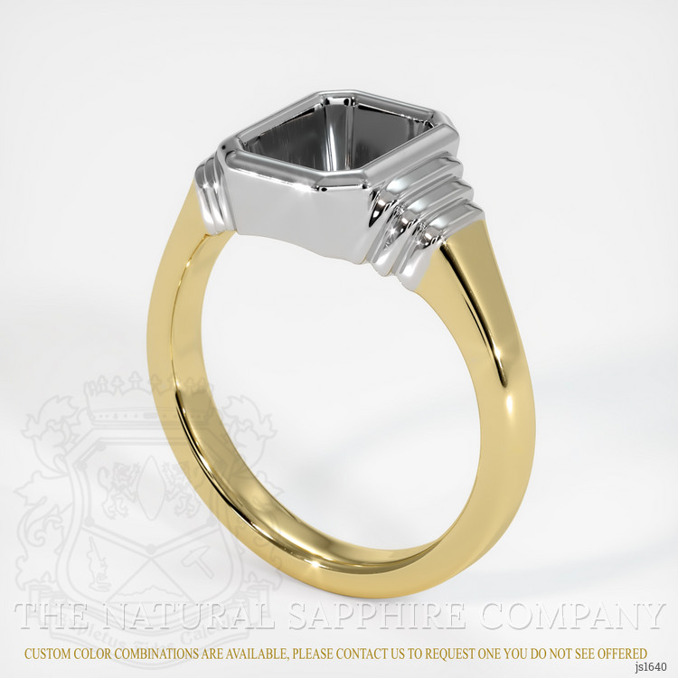 14K White & Yellow Men's Ring Setting