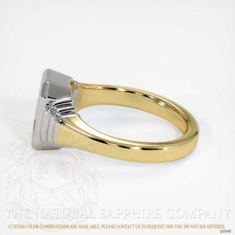 14K White & Yellow Men's Ring Setting