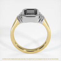 14K White & Yellow Men's Ring Setting Image
