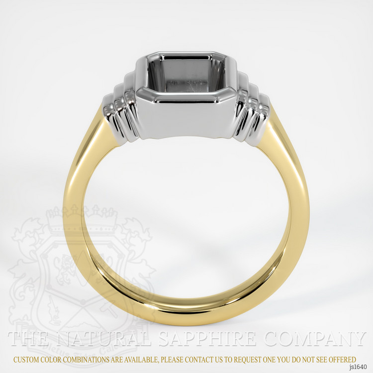 14K White & Yellow Men's Ring Setting
