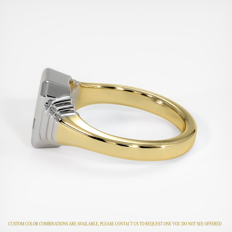 18K White & Yellow Men's Ring Setting