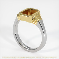 14K Yellow & White Men's Ring Setting Video