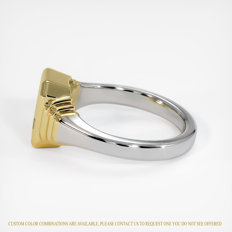 14K Yellow & White Men's Ring Setting