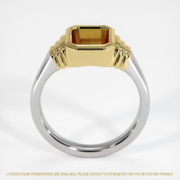 14K Yellow & White Men's Ring Setting Image