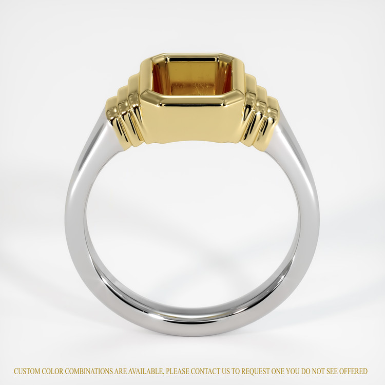 14K Yellow & White Men's Ring Setting