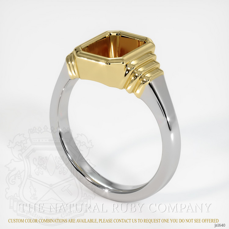 18K Yellow & White Men's Ring Setting
