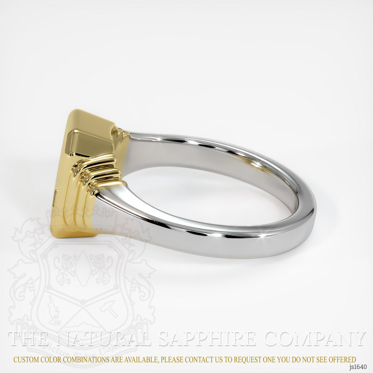 18K Yellow & White Men's Ring Setting