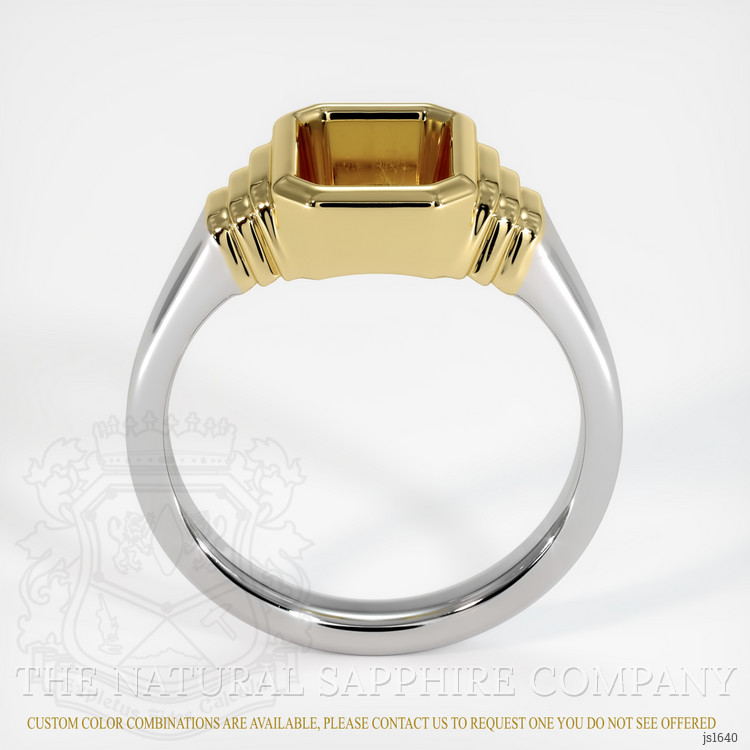 18K Yellow & White Men's Ring Setting