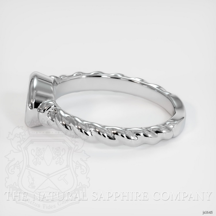 14K White Gold Men's Ring Setting