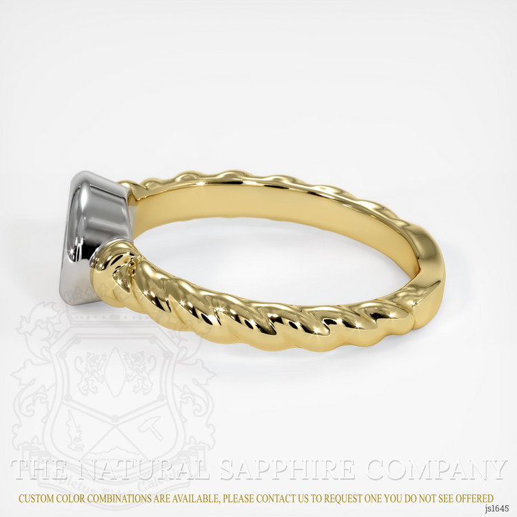 14K White & Yellow Men's Ring Setting
