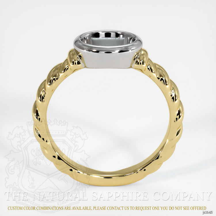 14K White & Yellow Men's Ring Setting