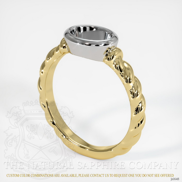 18K White & Yellow Men's Ring Setting