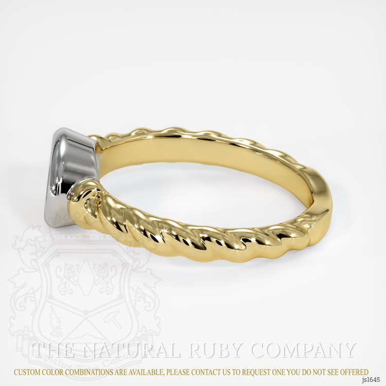 18K White & Yellow Men's Ring Setting