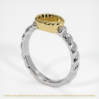 14K Yellow & White Men's Ring Setting Video
