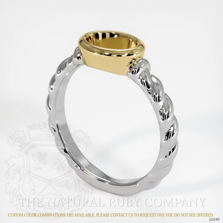14K Yellow & White Men's Ring Setting