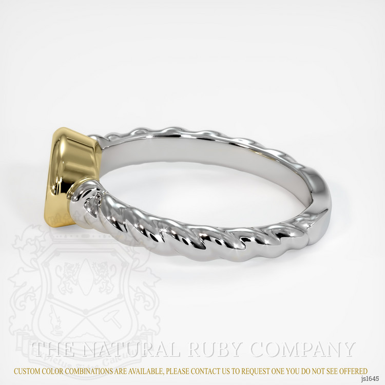 14K Yellow & White Men's Ring Setting