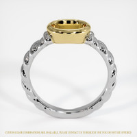 14K Yellow & White Men's Ring Setting Image
