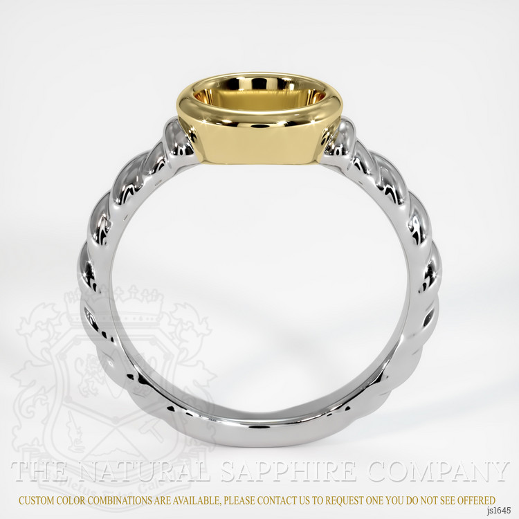 14K Yellow & White Men's Ring Setting