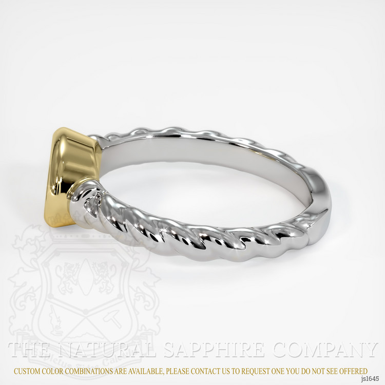 18K Yellow & White Men's Ring Setting