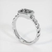 10K White Gold Men's Ring Setting Video