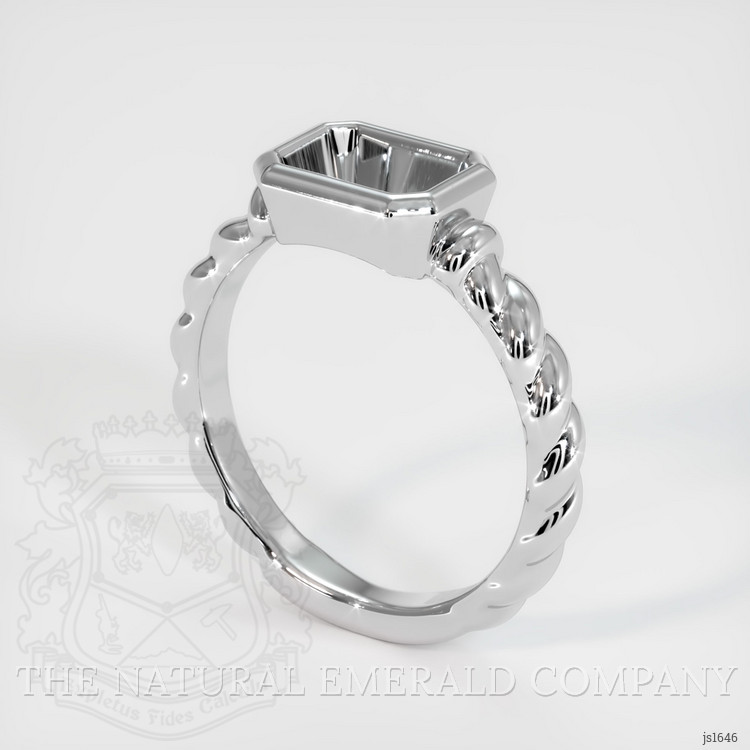 18K White Gold Men's Ring Setting