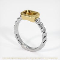 14K Yellow & White Men's Ring Setting Video