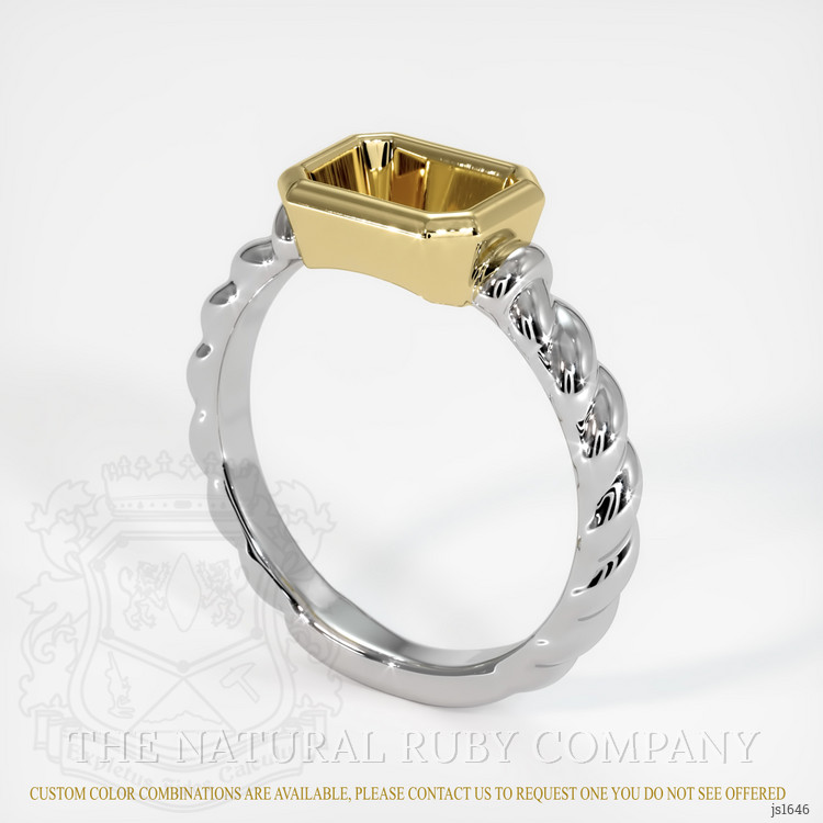 14K Yellow & White Men's Ring Setting