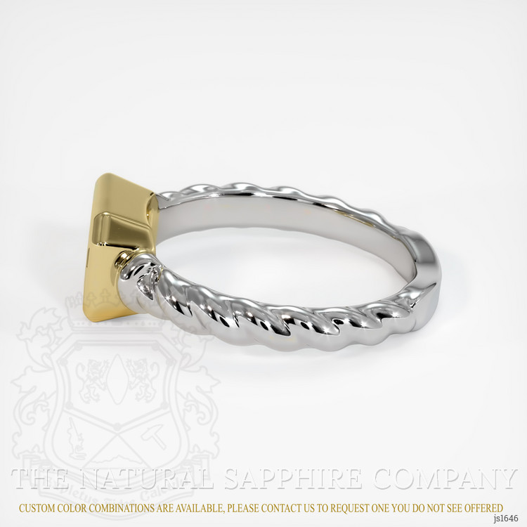 14K Yellow & White Men's Ring Setting