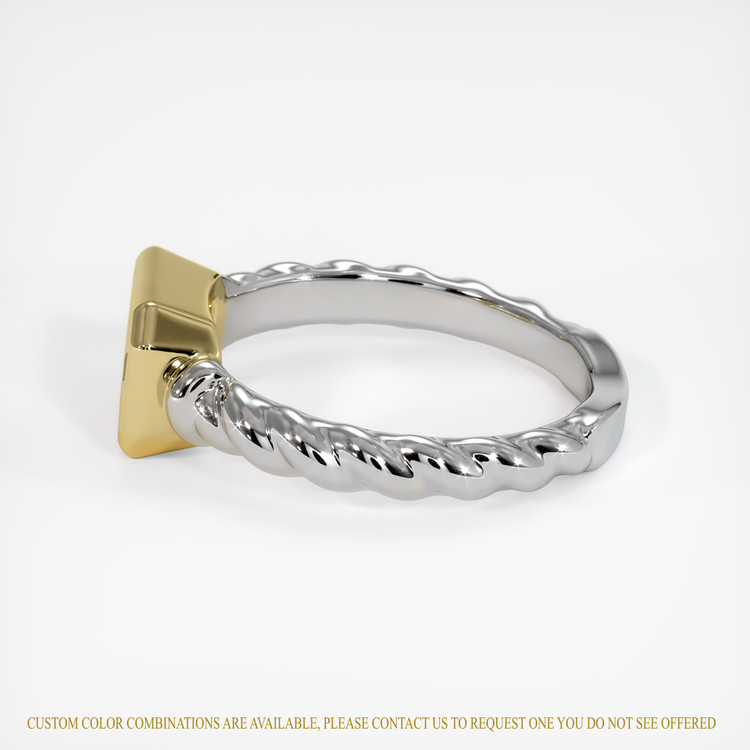 14K Yellow & White Men's Ring Setting