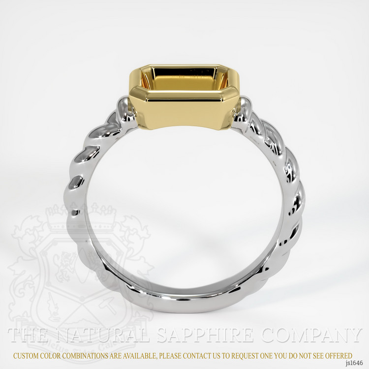 14K Yellow & White Men's Ring Setting