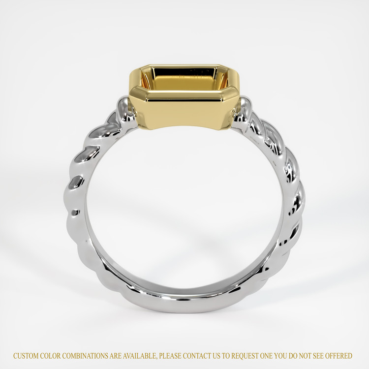 14K Yellow & White Men's Ring Setting