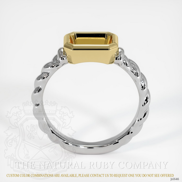 14K Yellow & White Men's Ring Setting