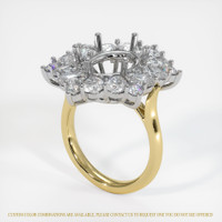 14K White & Yellow Halo Ring Setting Video