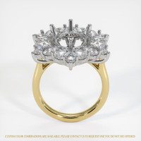 18K White & Yellow Halo Ring Setting Image