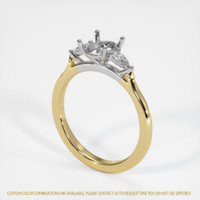 14K White & Yellow Three Stone Ring Setting Video