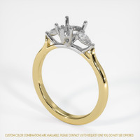 14K White & Yellow Three Stone Ring Setting Video