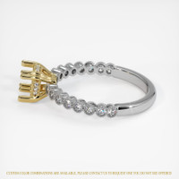 14K Yellow & White Antique Style Ring Setting Image