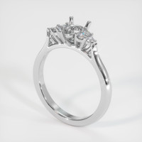 14K White Gold Accent Stones Ring Setting Video