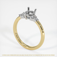 14K White & Yellow Accent Stones Ring Setting Video