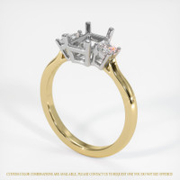 14K White & Yellow Three Stone Ring Setting Video