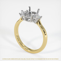 14K White & Yellow Three Stone Ring Setting Video