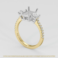 14K White & Yellow Three Stone Ring Setting Video