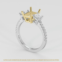18K Yellow & White Three Stone Ring Setting Video