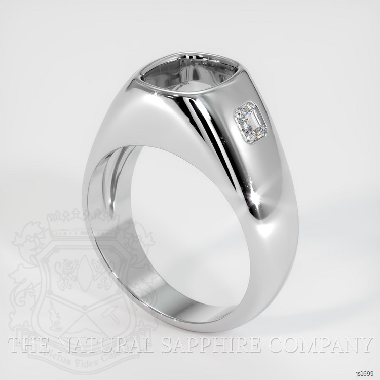 14K White Gold Men's Ring Setting
